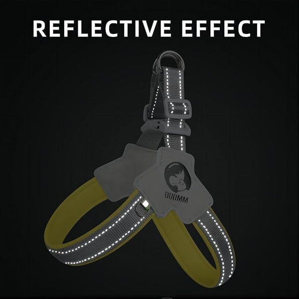 Comfy Paws Harness Set