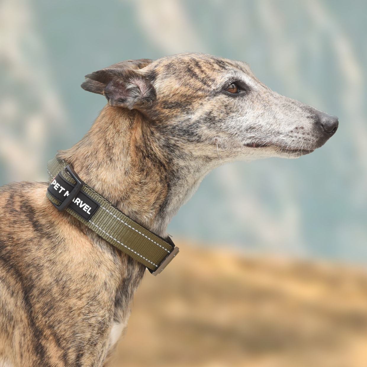Ultimate Tactical Dog Collar