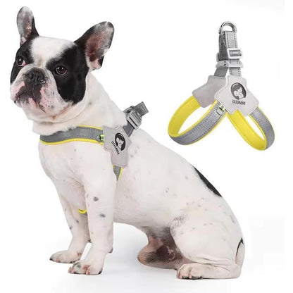 Comfy Paws Harness Set